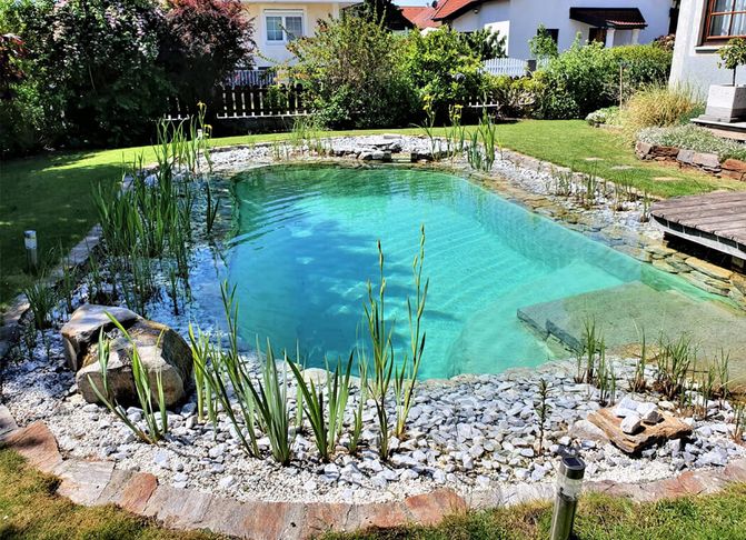 Schwimmteich mit Pflanzenzone im Frühling - mitten im Garten.