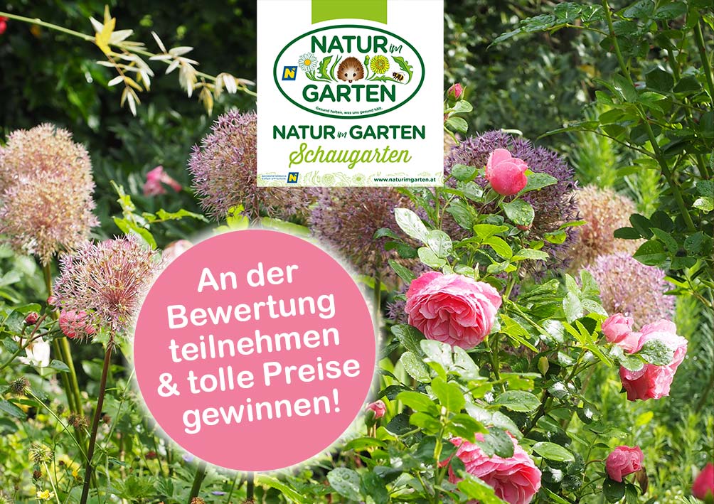 Bild eines Gartens mit Logo von "Natur im Garten" und Aufruf zum Voten.