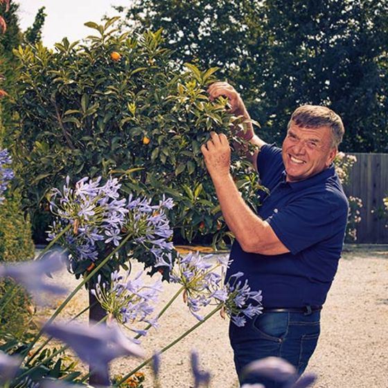Zu sehen ist ein Mann, der neben einer Pflanze steht und gärtnert.