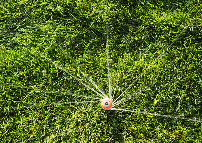 Sprinkler dreht sich und spritzt Wasser auf die Rasenfläche.