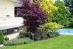 Bepflanzter Bereich vor einem gelben Haus. Dort stehen ein Japanischer Fächer-Ahorn, ein grüner Fächerahorn und mehrere Sträucher.