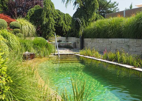 Kleiner Schwimmteich mit Einstiegsstelle und vielen Grünpflanzen rundherum. Dahinter ein Sitzplatz aus Stein.