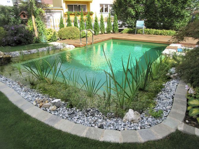 Ein moderner Naturpool mit Wassergräser und Holzsteg. 