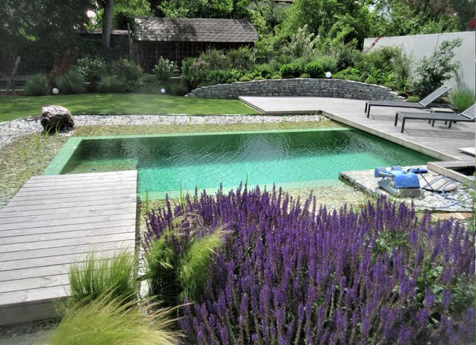 Kleiner Naturpool mit Holzsteg für Liegestühle. Davor ist ein blühender Lavendel gepflanzt.