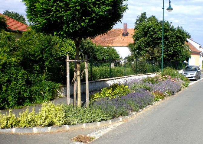 Zwischen Gehweg und Straße ist ein Grünstreifen, der mit verschiedenen bunten Sträuchern bepflanzt ist. Dahinter sind Häuser zu sehen.
